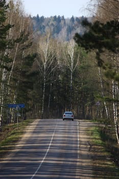 The road in forest, Russian landscape.