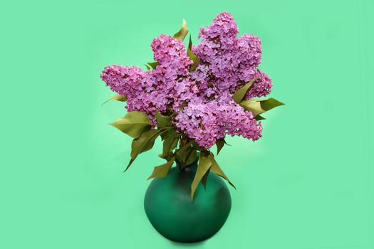 Purple lilac branch on the vase on green background