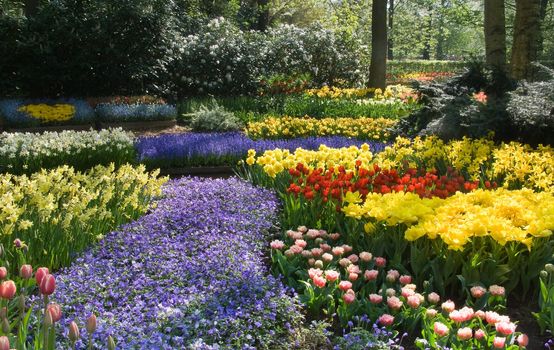 Blossoming park with lots of flowers in spring 