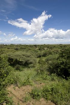 Lake Manyara National Park - Best of Tanzania