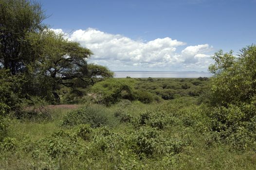 Lake Manyara National Park - Best of Tanzania