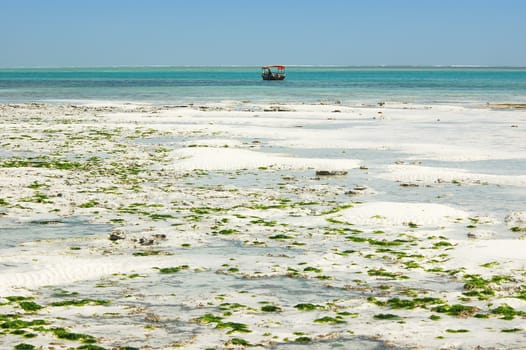 Boat on the sea. Tide. Zanzibar