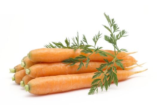 fresh carrots