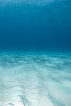 Background image of the bright white rippled sand on the ocean floor at Tiger Beach in the Bahamas