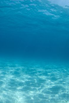 Background image of the rippled sand on the ocean floor at Tiger Beach 