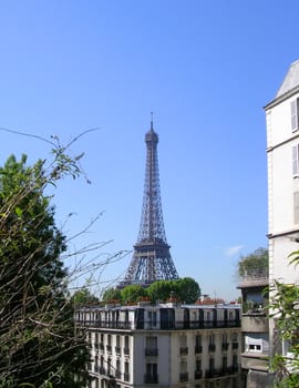 Eiffel Tower seems to grow from the roof among the trees.