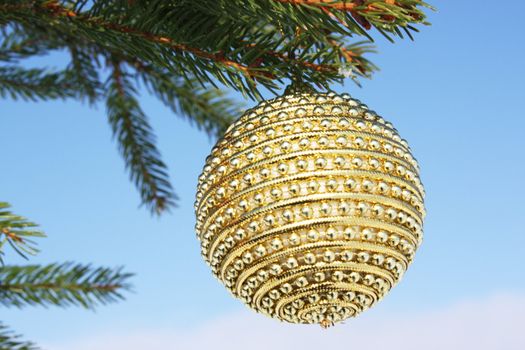 christmas bauble on christmas tree