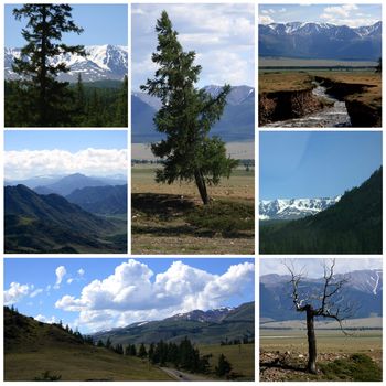 Nature landscape collage