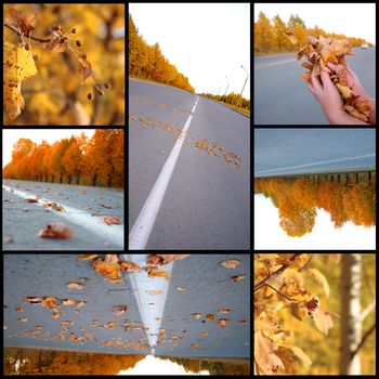 Autumn season beautiful, collage