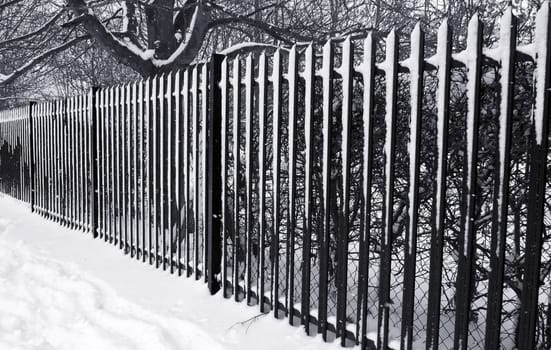 snow covered winter railings