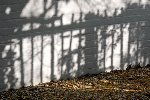 long shadows of a garden fence at sunset