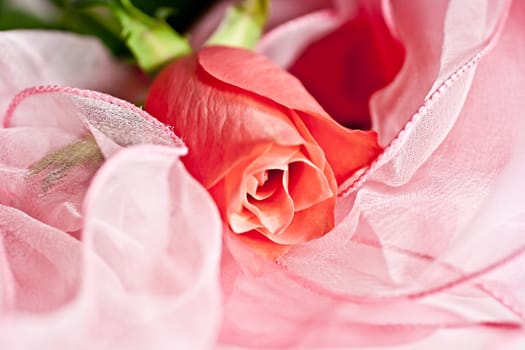 Sales of pink silk, pink rose. Macro photography.
