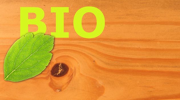 bio concept with word on nature still life