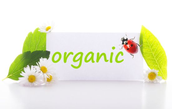 organic concept with word on nature still life