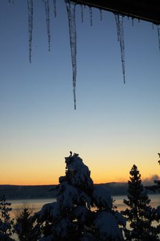 Long icicles hanging in front of a pretty sunset