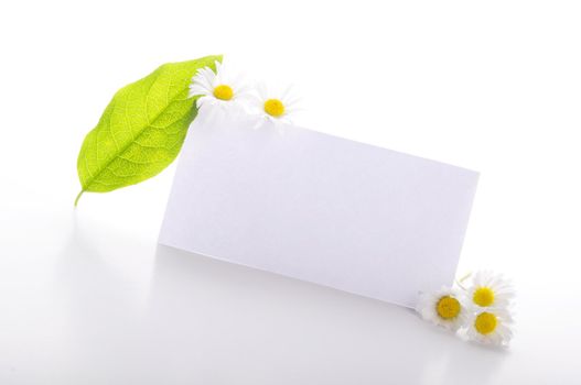 paper card with copyspace and green summer leaf