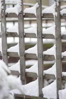 snow settled on trellis fencing after a heavy snowfall
