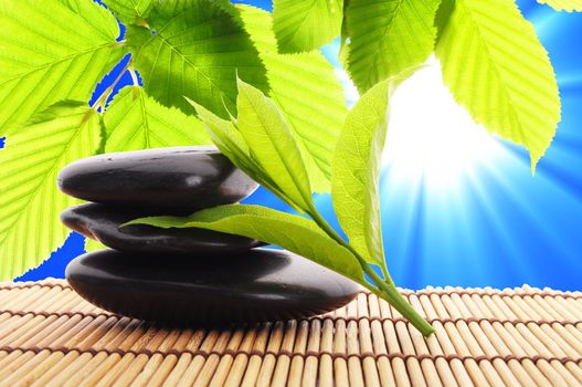 zen stack or tower with green summer leaf showing spa or wellness