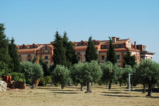 residential brick building and a field of olive trees