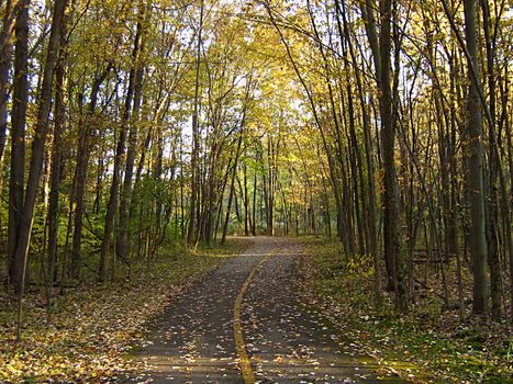 A photograph of a walking trail in autumn.