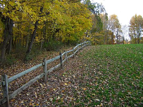 A photograph of a wooden fence in autumn.