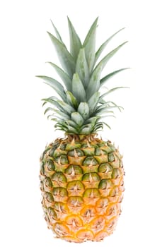pineapple isolated