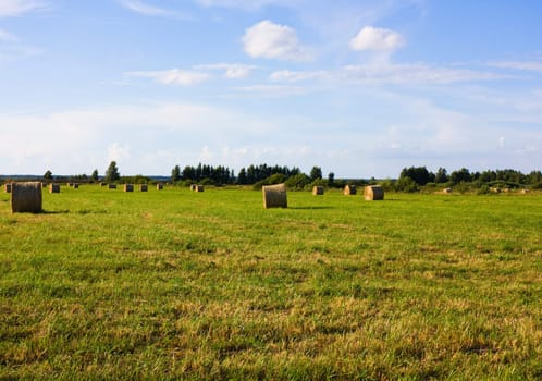 rolls of hay, field