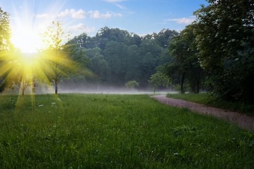 sunrise at the summer park