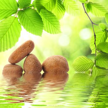 zen or spa concept with stone leaf and water reflection