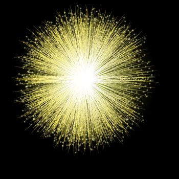 A single firework bursts in a golden blossom against the night sky.