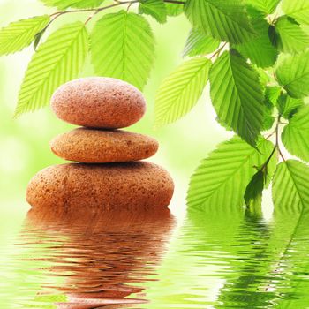 zen stones and green leaves showing spa concept with water reflection