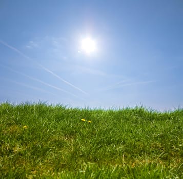Green grass, blue sky