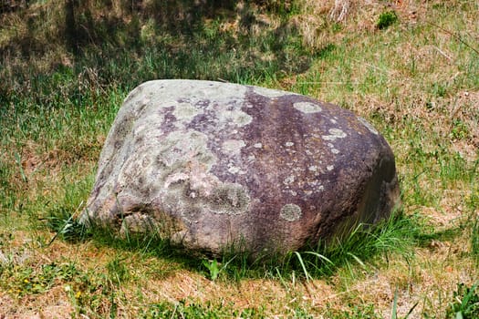 stone in moss, grass