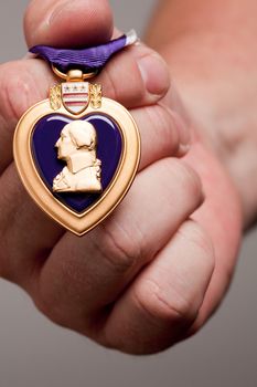 Man Holding Purple Heart War Medal on a Grey Background.