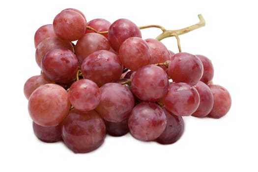 Berries of grape, small circle in dewdrop, insulated on white background