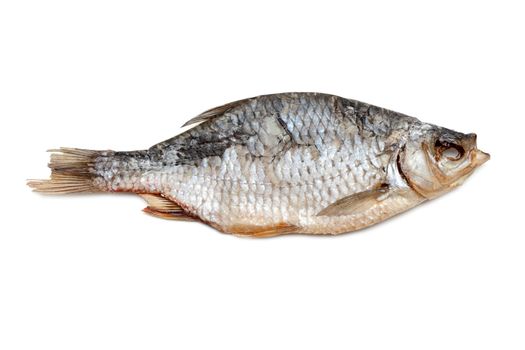 Dried fish, roech insulated on white background