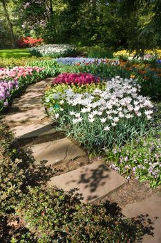 Flagstone path with spring flowers on april day