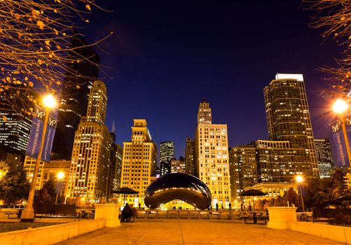 The Millennium Park in downtown Chicago at night