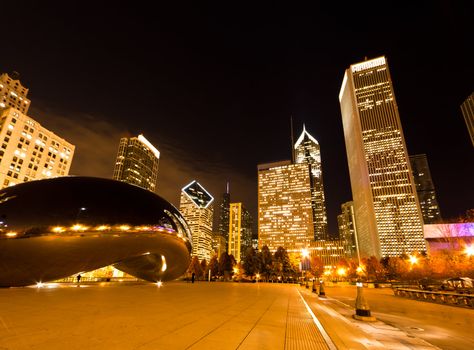 The Millennium Park in downtown Chicago at night