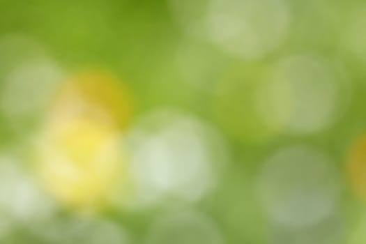 Dim abstract color horizontal background - an out-of-focus photo of a meadow