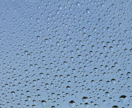 Set of small drops of water on a glass surface - backdrop