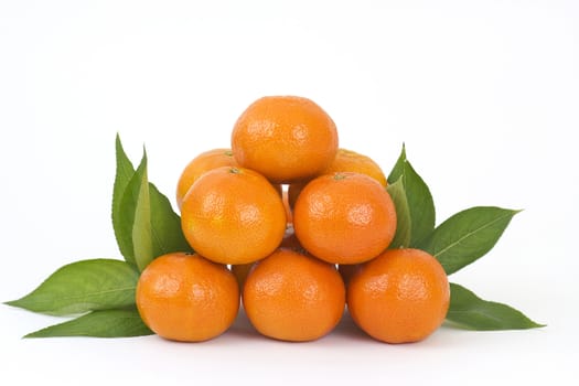 fresh tangerines