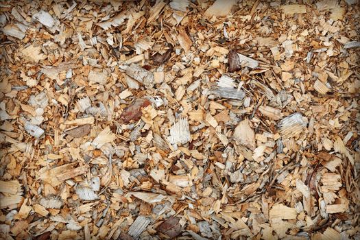 Waste of woodworking manufacture - sawdust close up - a background