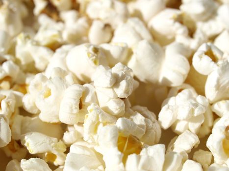 Pop corn maize useful as a background