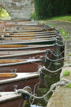 line of wooden rowing boats tied to a river bank