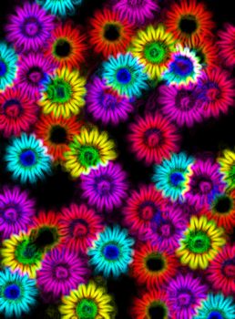 abstracted impressions of flower sahpes in neon colors on black