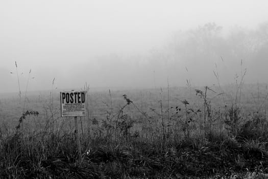 Foggy sign on the edge of a field