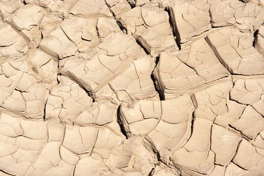 Detail of the cracked ground - dry season
