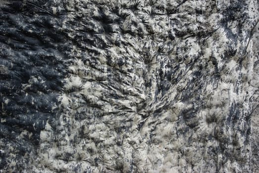 Pattern of Black and White Wavy Texture and surfaced