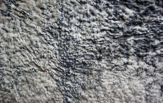 Pattern of Black and White Wavy Texture and surfaced